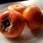 Cachi　博多秋王